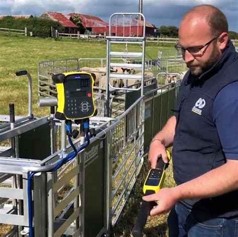 livestock rfid reader reviews|eid stick readers for sheep.